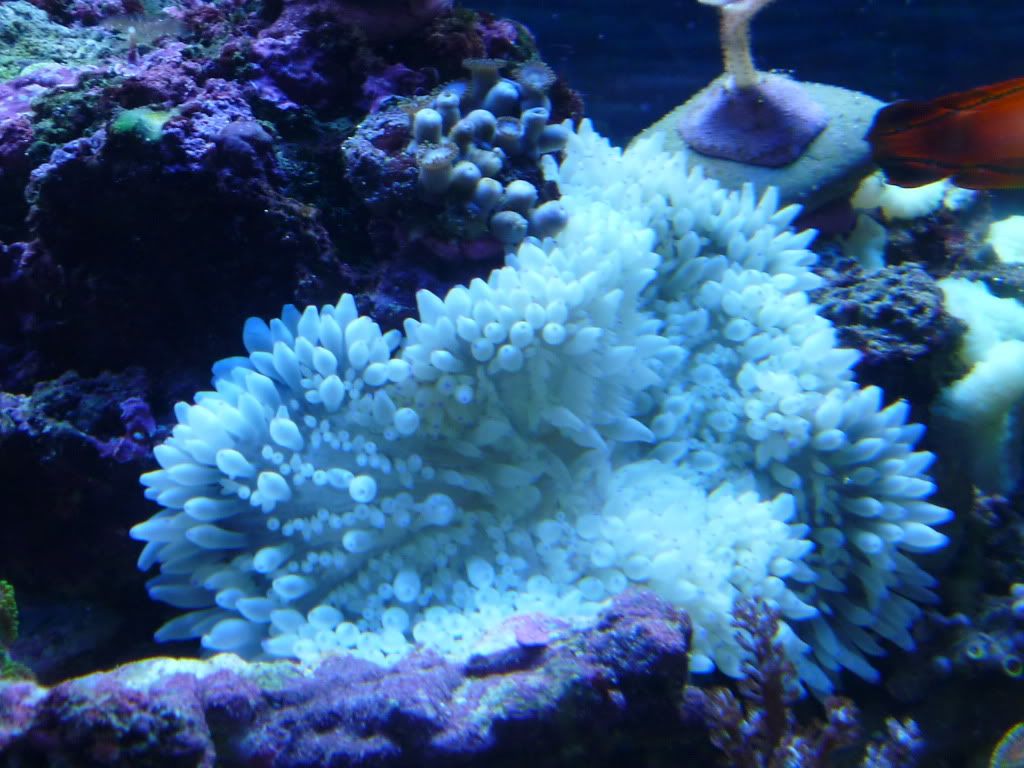054-9.jpg