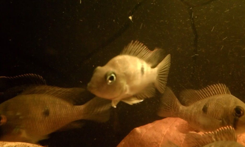 IMAG0025.jpg