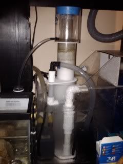 IMG00027-20090706-2030.jpg