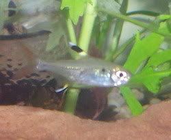 100_1279.jpg