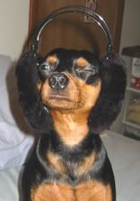 100-0012_IMG.jpg