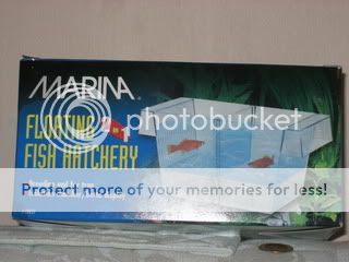 IMG_0006.jpg