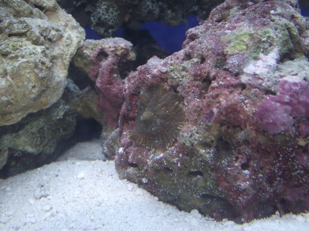 DSCF1436.jpg