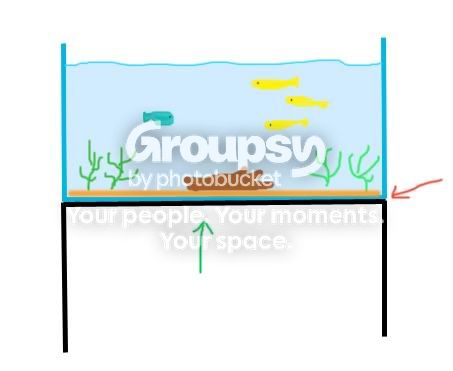 fishtankdrawing.jpg