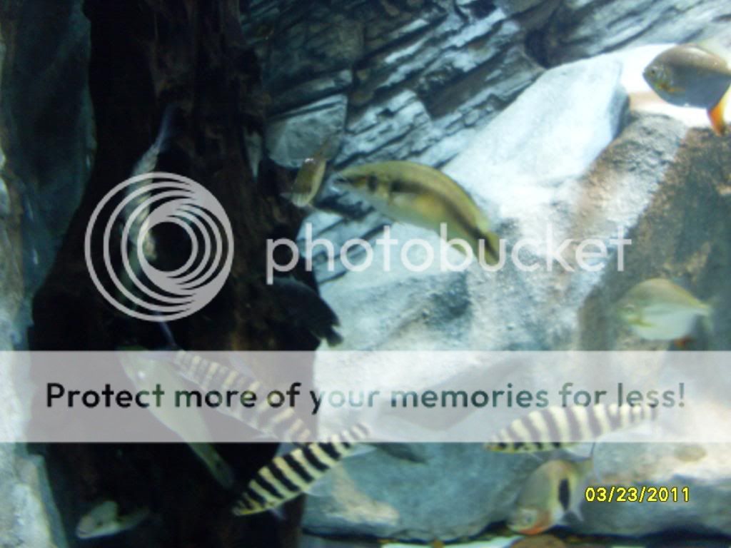 SDC12634.jpg