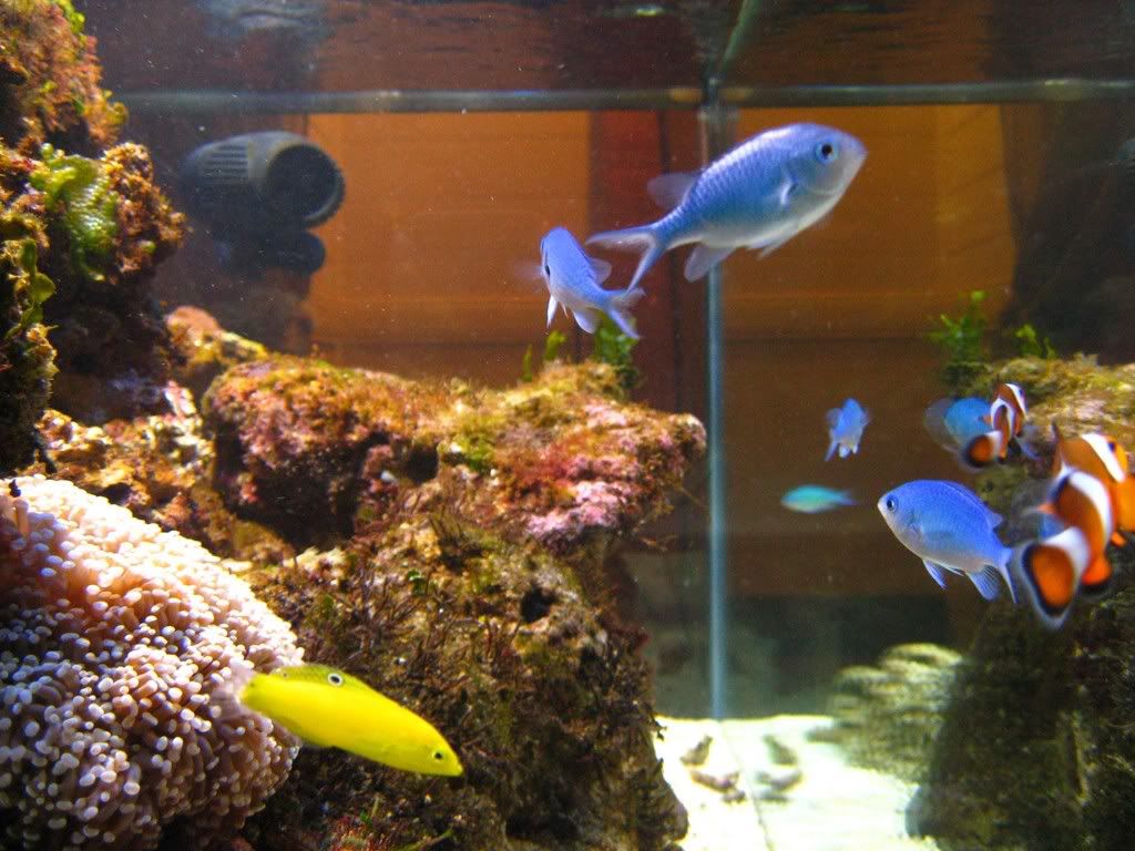 IMG_0571.jpg