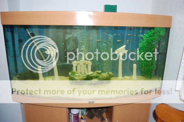 DSC_0645.jpg