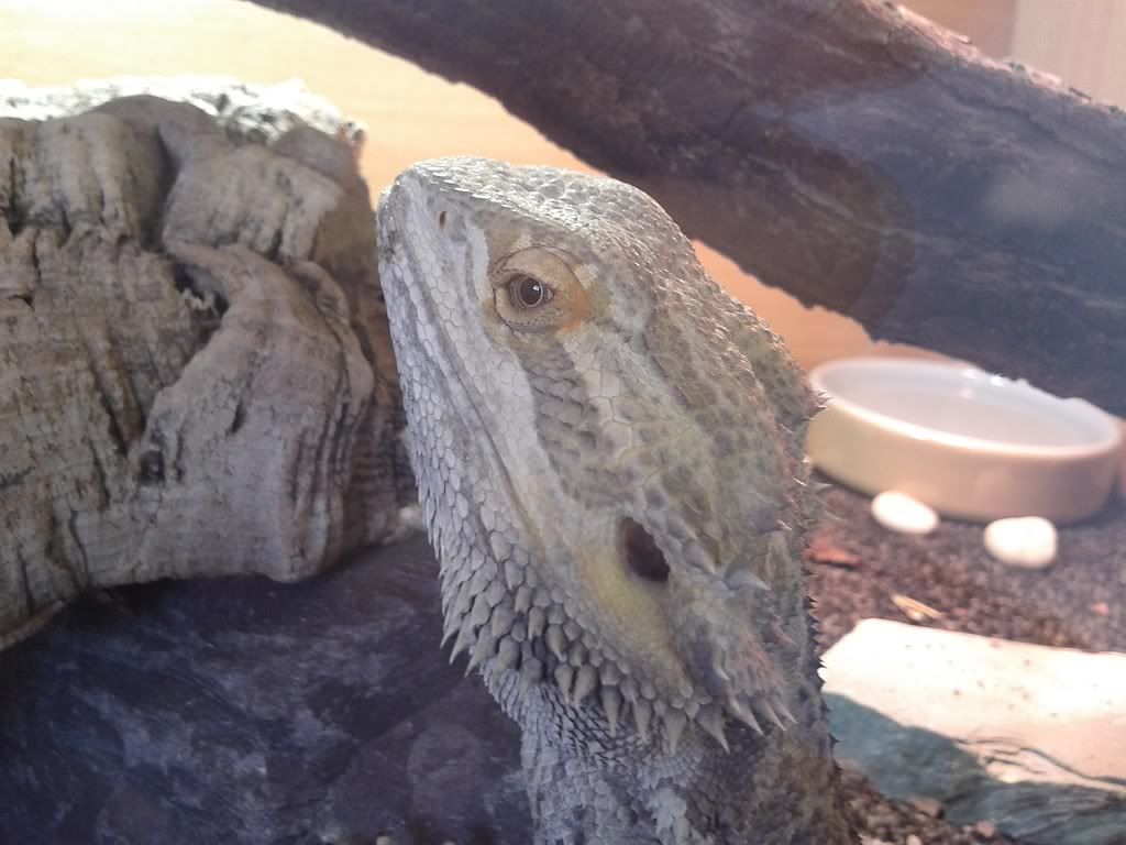 2012-07-14183457.jpg