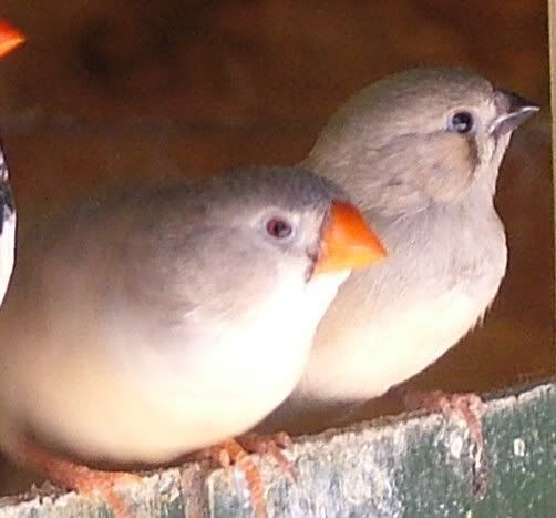 DSCF4904.jpg