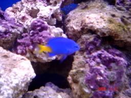 DSC00506.jpg