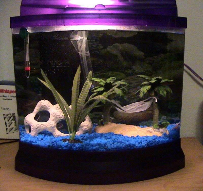 tanksetup.jpg
