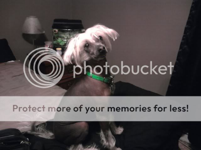 957419733_photobucket_22276_.jpg