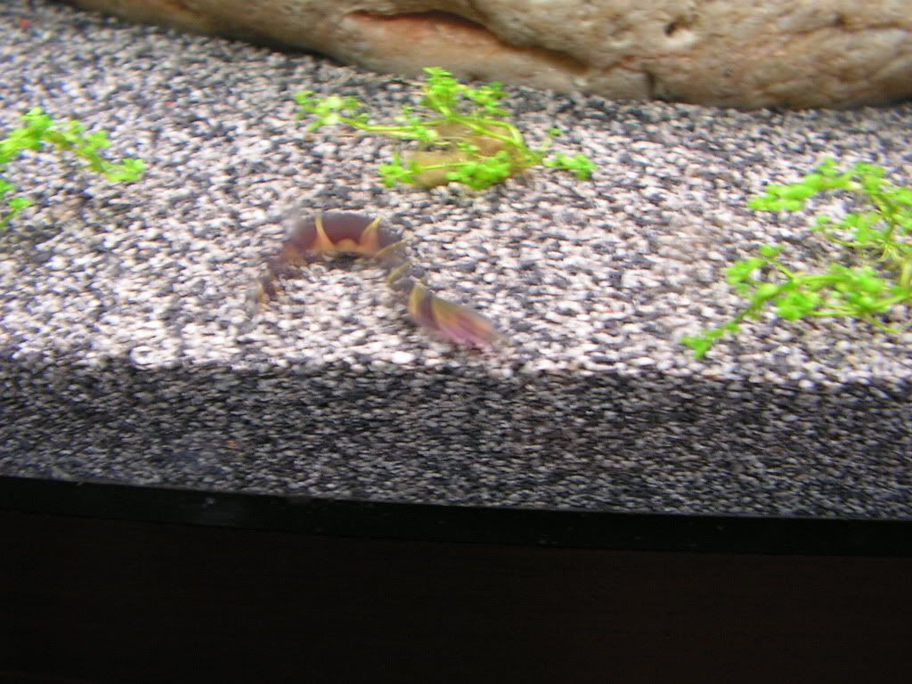 PICT1247.jpg