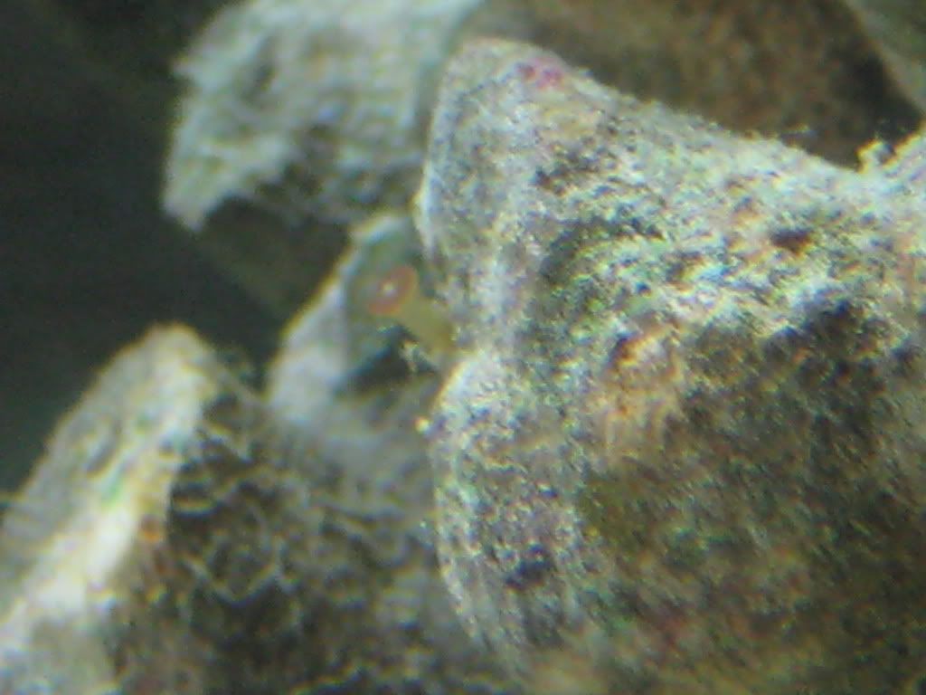 IMG_0656.jpg