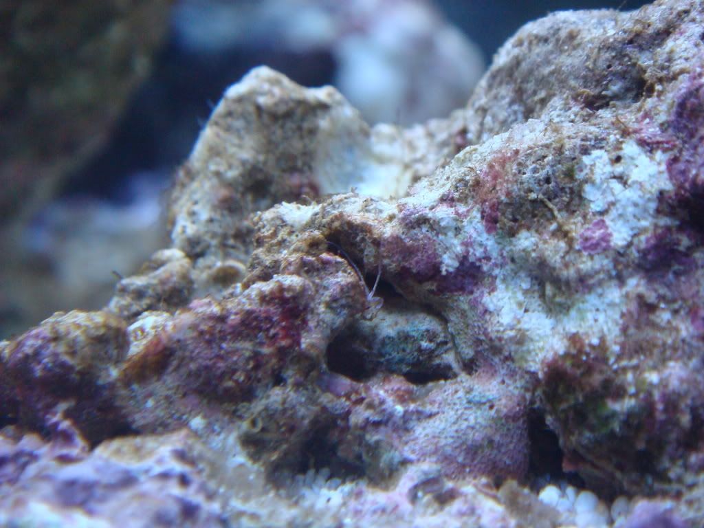 DSC01677.jpg
