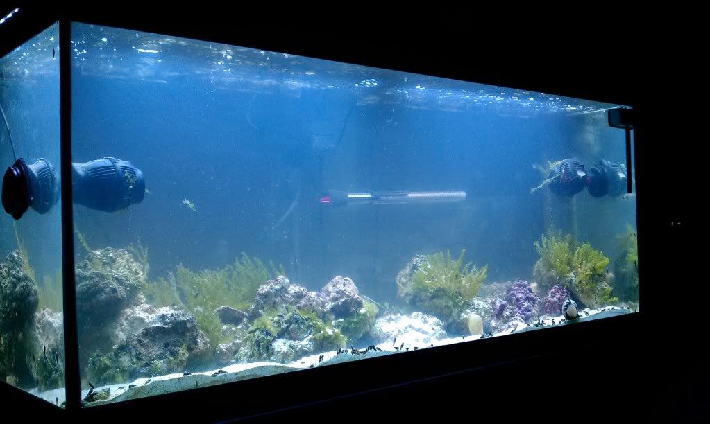 IMAG0101.jpg