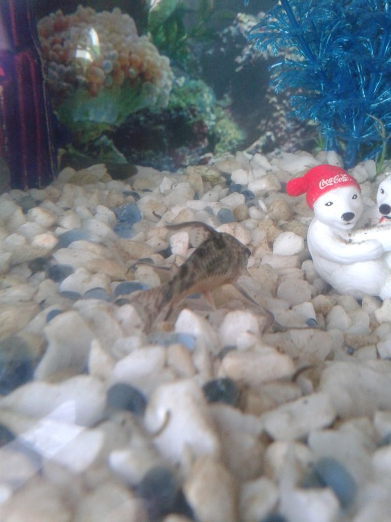 20120926_121919.jpg