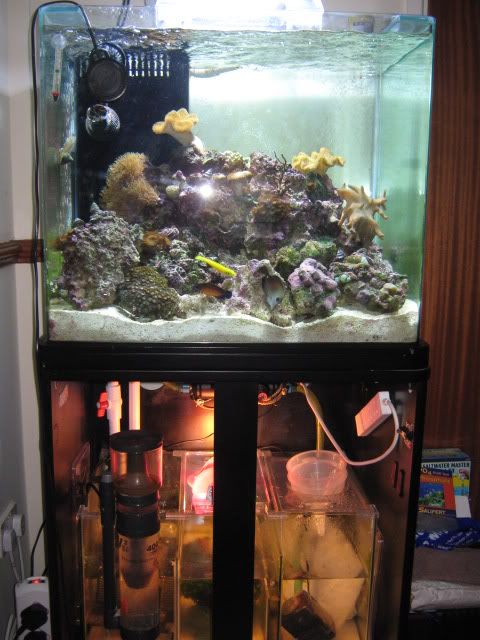 029-5.jpg