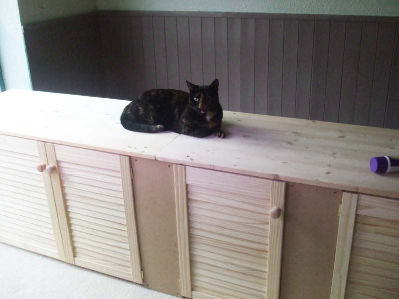 GirlieonCabinet.jpg