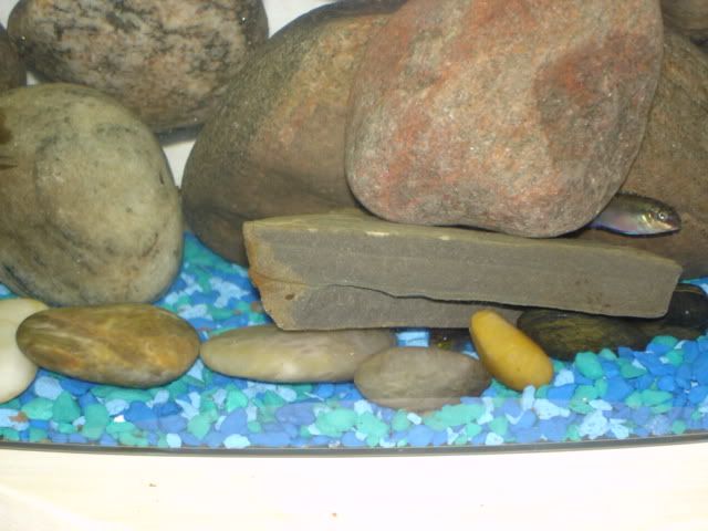 DSC02557.jpg