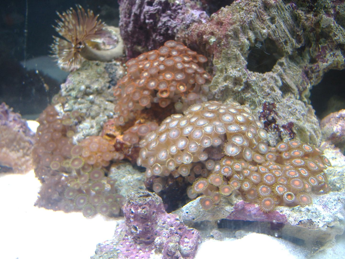 DSCF0532.jpg