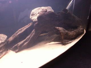 20121003_185003.jpg