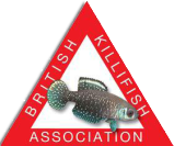 weblogo.png
