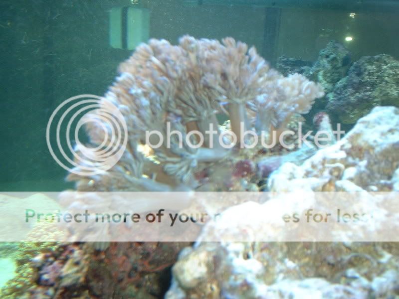 DSCF0060.jpg