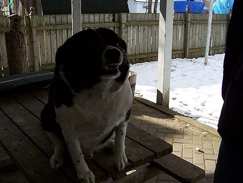 Picture019.jpg
