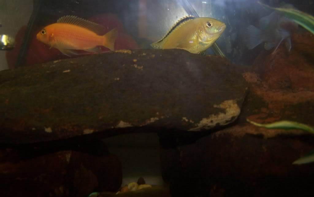 100_6260.jpg