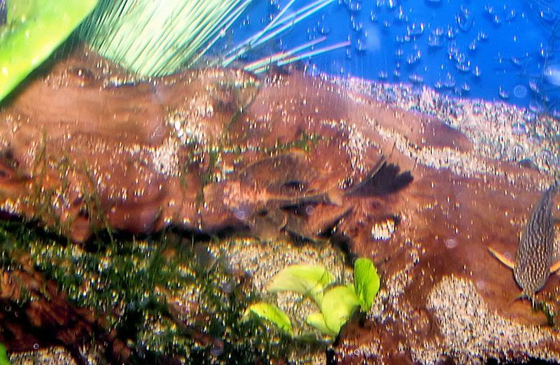 07-20-07105-2.jpg