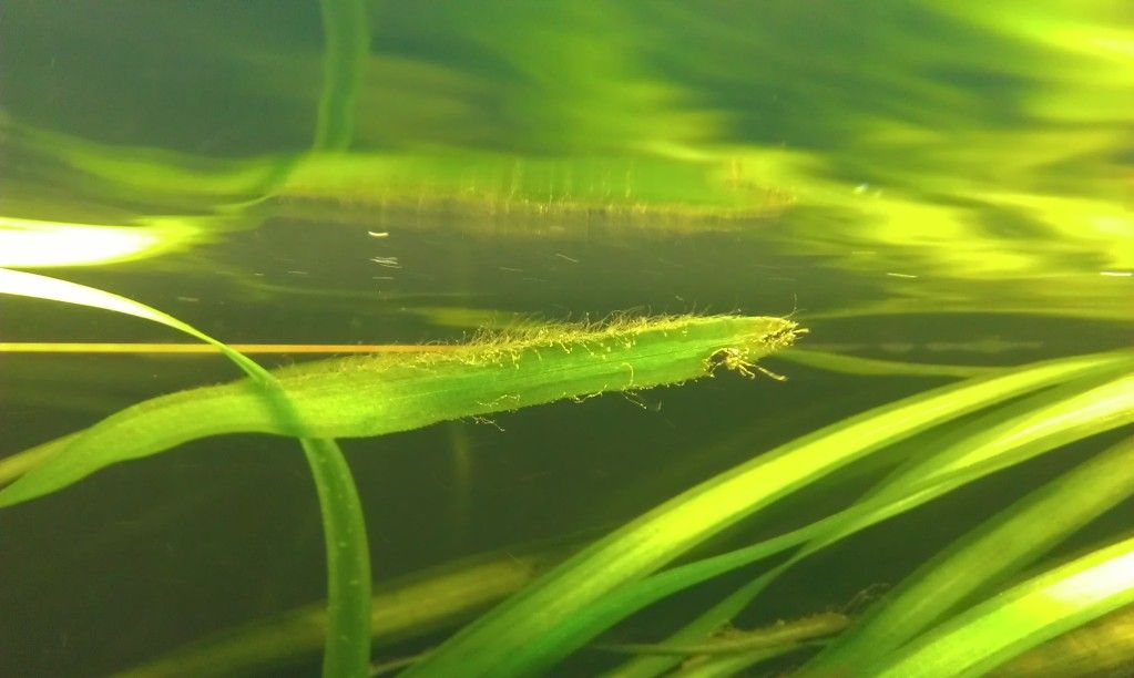 2012-06-28214126.jpg