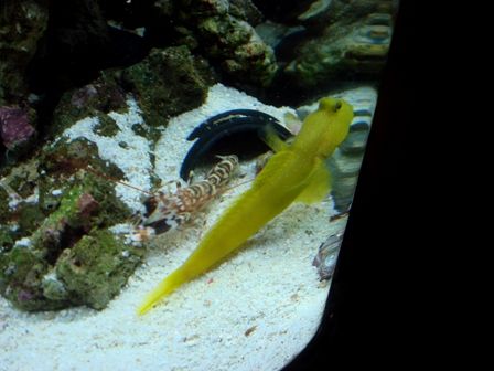 fts7.jpg