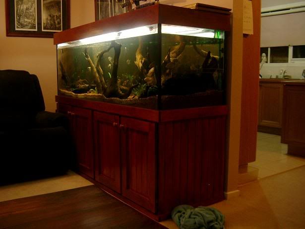 newtank8.jpg