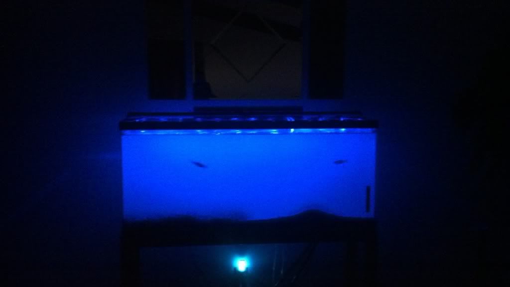 2012-03-27_22-04-41_553.jpg