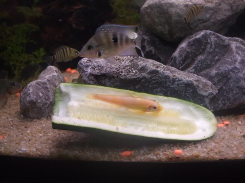 DSCF1877.jpg