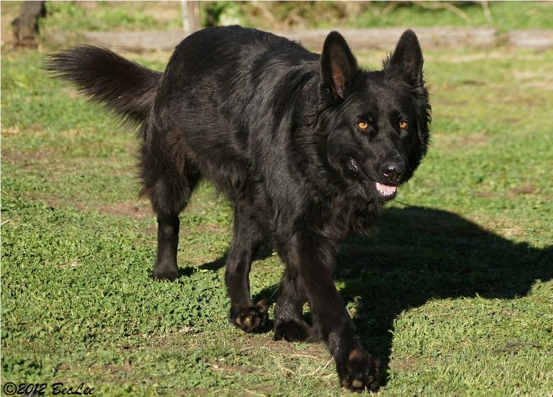 Nika5thAug20121o.jpg