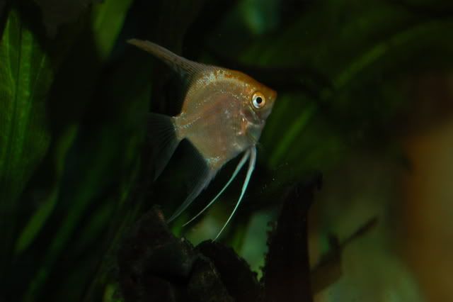 DSC_0546.jpg