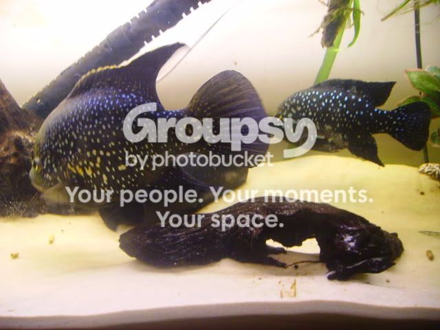 jan082057.jpg