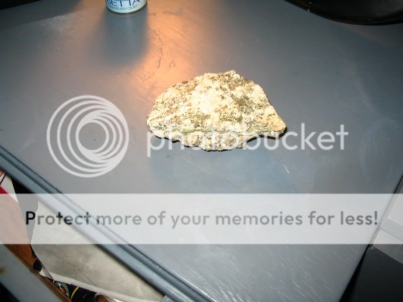 IMG_0973.jpg