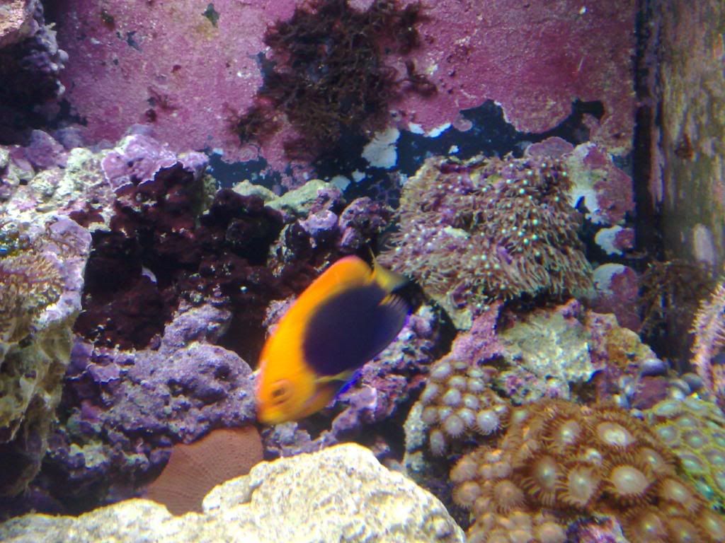 25012009430.jpg