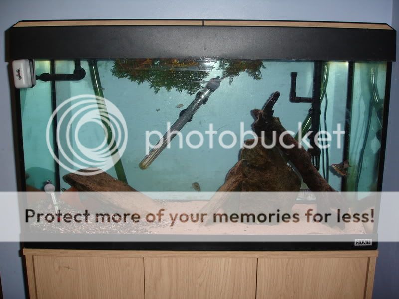 TankCloseUp.jpg