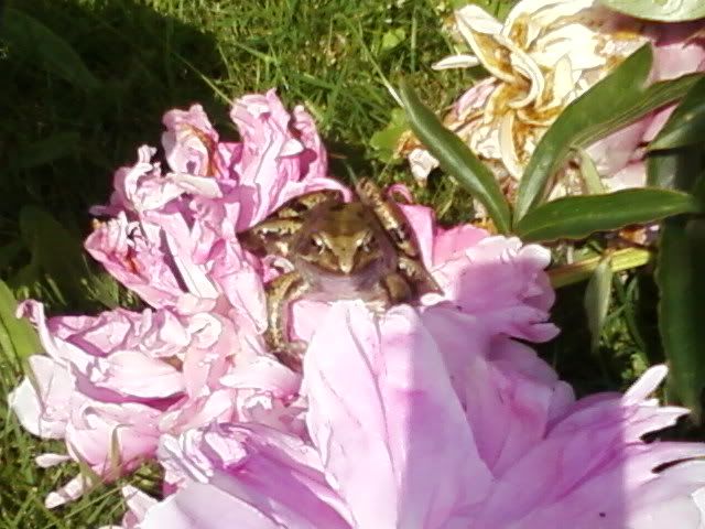 Photo-0032.jpg