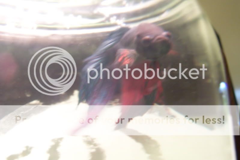 100_7881.jpg