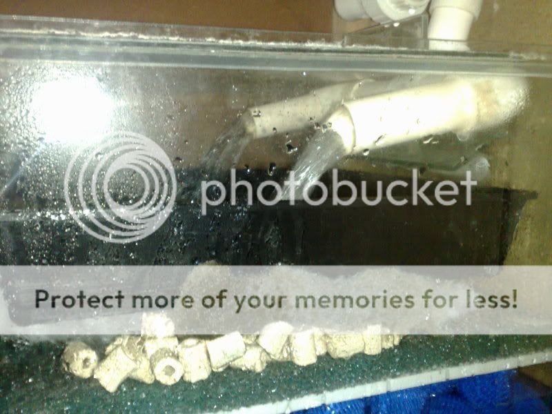 30082009930.jpg