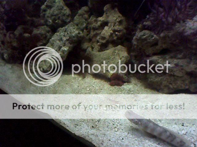 Image_00001-1.jpg