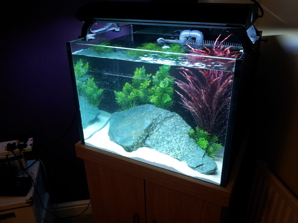 2012-09-01201743.jpg