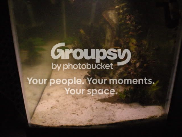 DSCN1903.jpg