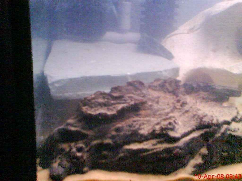 DSC00440.jpg