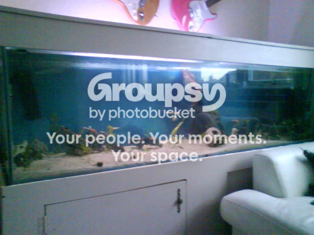 005-1.jpg